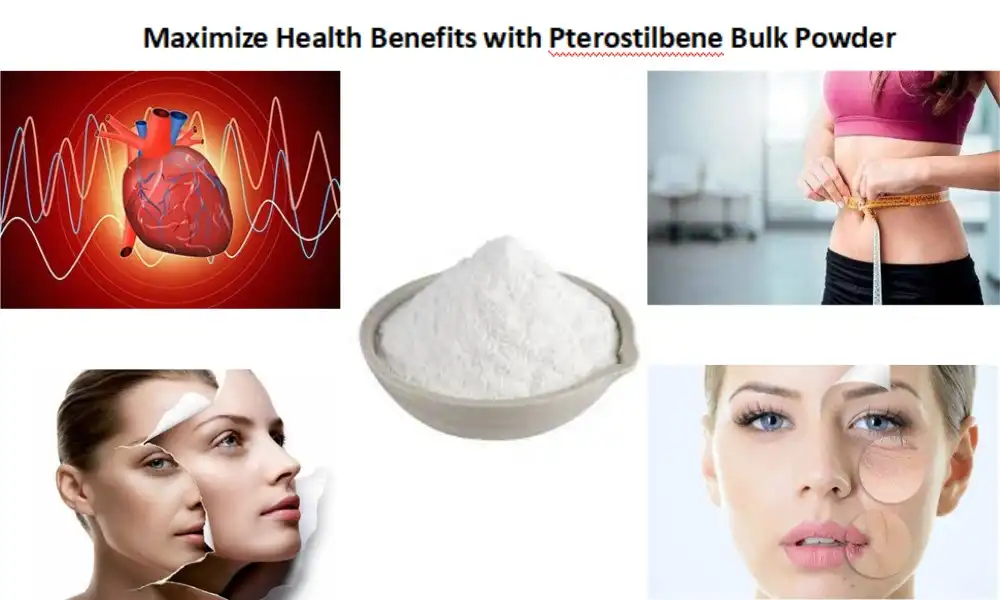 Maximize Health Benefits with Pterostilbene Bulk Powder